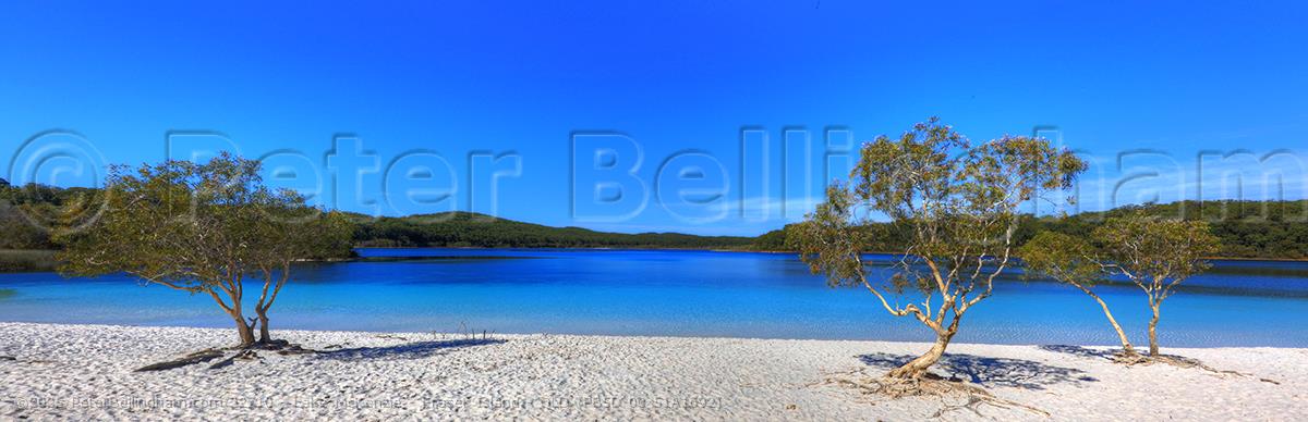 Peter Bellingham Photography Lake McKenzie - Fraser Island - QLD (PB5D 00 51A1692)